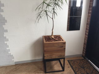 014039 アイアングリーンラック 観葉植物 プランター 無垢材 アイアン家具 緑 いのか家具 014039 アイアングリーンラック 観葉植物 プランター 無垢材 アイアン家具 緑 いのか家具