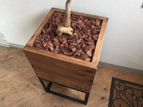 014039 アイアングリーンラック 観葉植物 プランター 無垢材 アイアン家具 緑 いのか家具 014039 アイアングリーンラック 観葉植物 プランター 無垢材 アイアン家具 緑 いのか家具